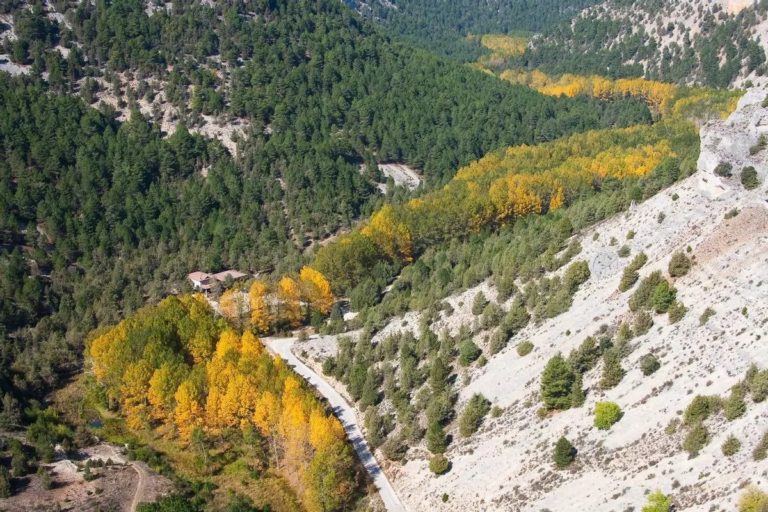 Каньон реки Лобос, Сория